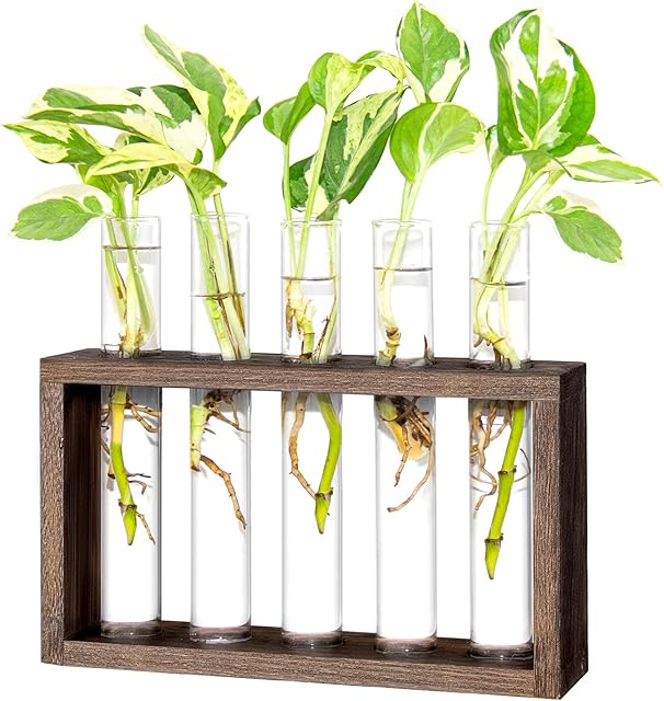 Ivolador Wall Mounted Hanging Plants Test Tube Flower Bud Tabletop Glass Terrarium Wooden Stand with 5 Test Tube Perfect for Propagating Hydroponic Plants Home Garden Wedding Decoration
