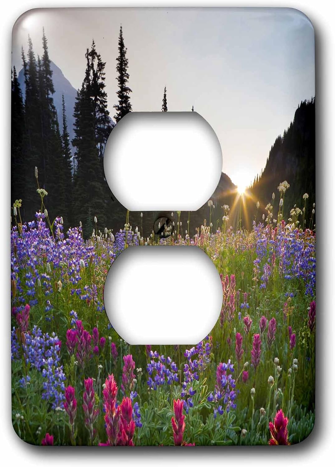 3dRose Indian Paintbrush, Lupine, Mt. Rainier NP 2 plug outlet cover image 2