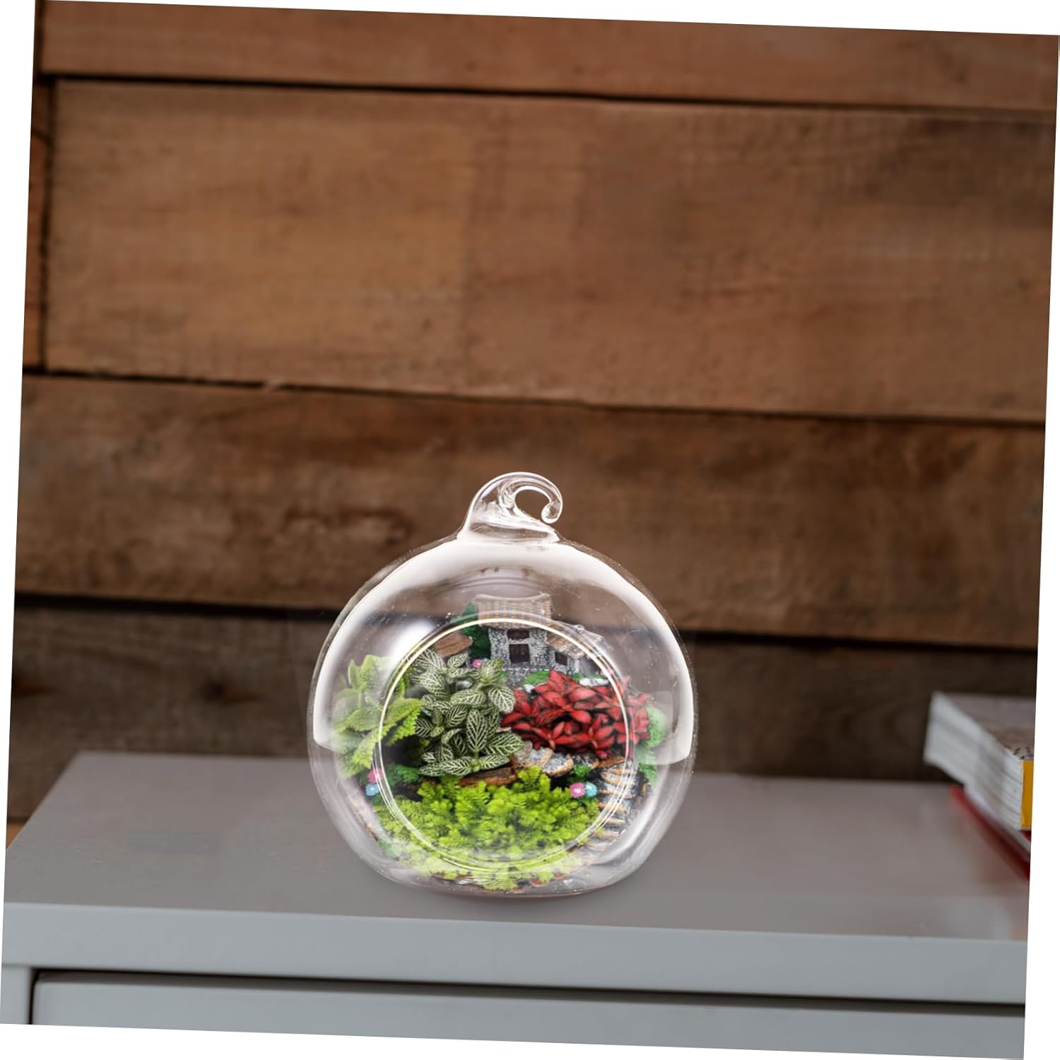 12Pcs Glass Globe Terrarium Kit Hanging Air Plant Planter for Indoor Decor Glass Vases with Flat Bottom for Succulent Microlandscape
