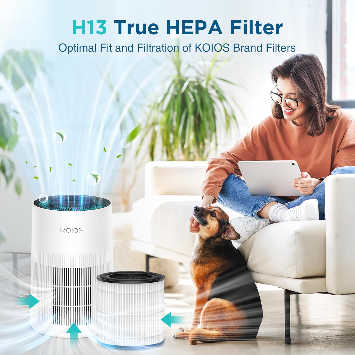 Diagram of H13 True HEPA filter capturing particles