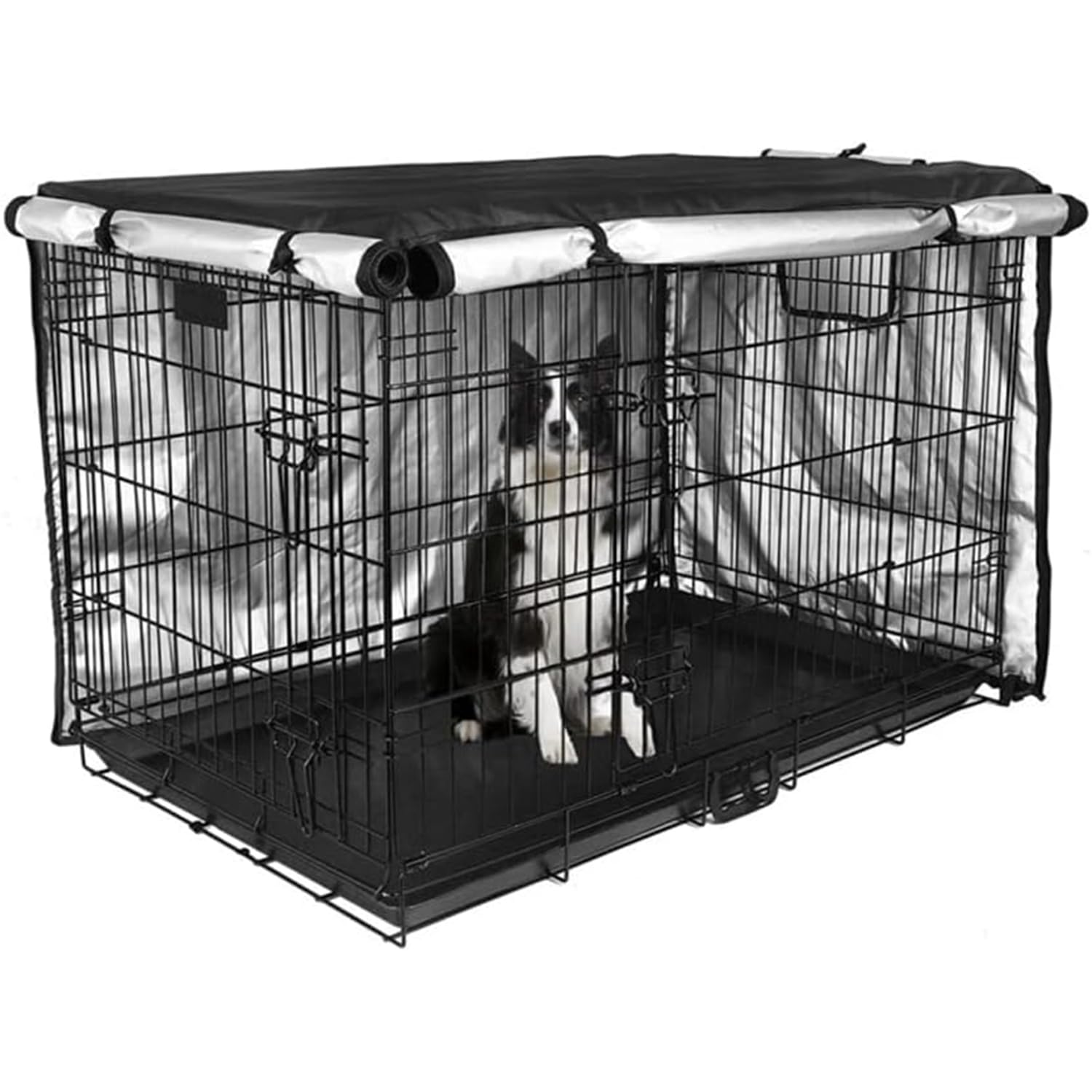ベル　犬　防音ケージ　サークル 28apr24glz01_2.jpg