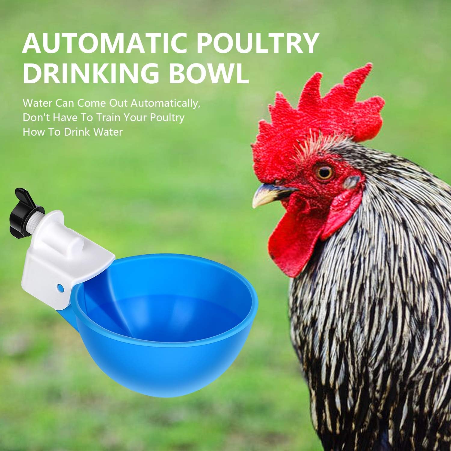 8 Pieces Chicken Waterers Chicken Water Cups Automatic Chicken Waterer Poultry Drinking Bowl 1/8 Inch Thread Watering Feeder Cups for Chickens Ducks Geese Turkeys and More (Orange, Blue)