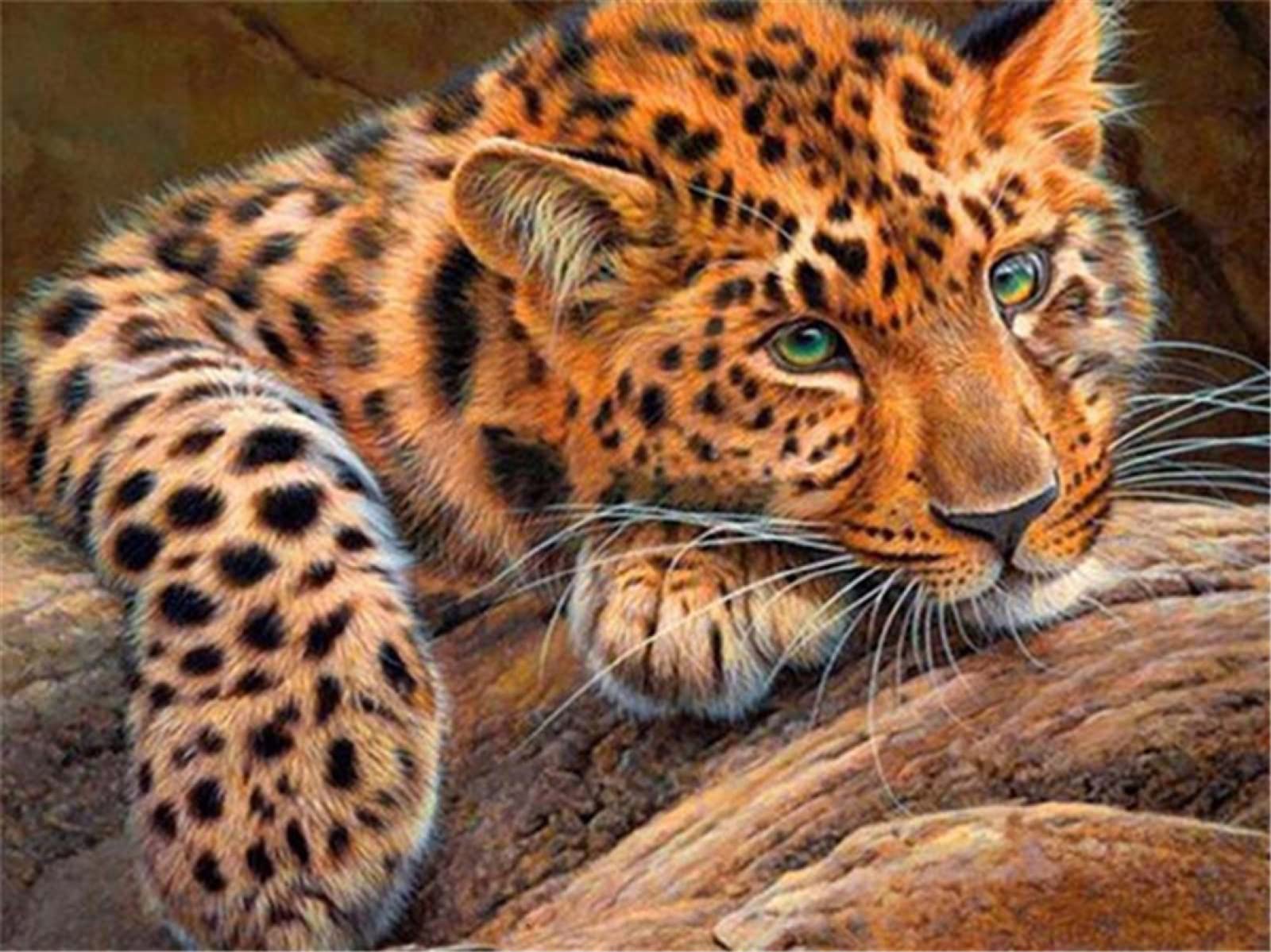 EXQULEG Diamond Painting Leopardo 5D: Kit Tela 60x90 Cm Con Diamanti Rotondi – Fai Da Te Per Adulti E Ragazzi