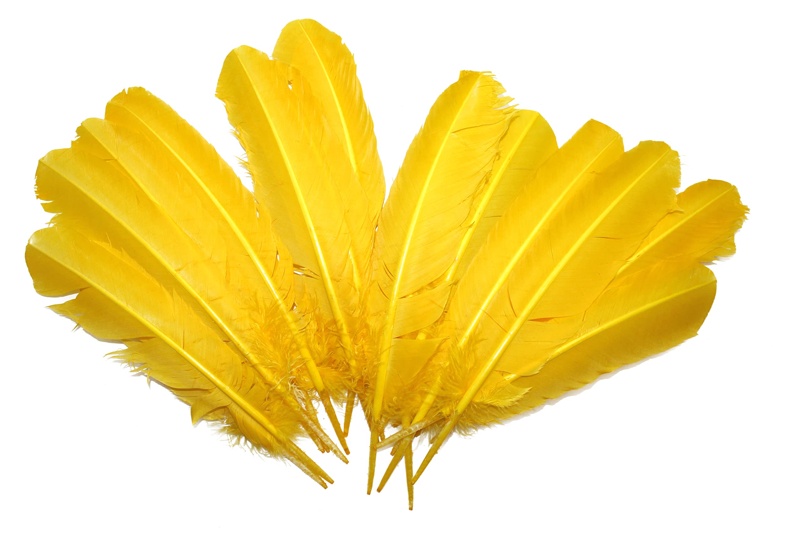 Photo 1 of 10-12 inch Turkey Quill Feathers 20 pcs, Wing Quill Large Feathers Craft Costume, Feather Supplier (Yellow)