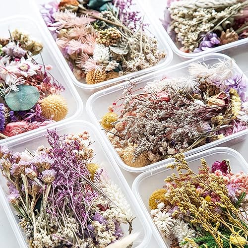 Miniatura 6 de Conos de pino secos, ojos de ojo, eucalipto, limón, canela plantas secas para vela de aromaterapia, hojas y flores secas prensadas de alta calidad