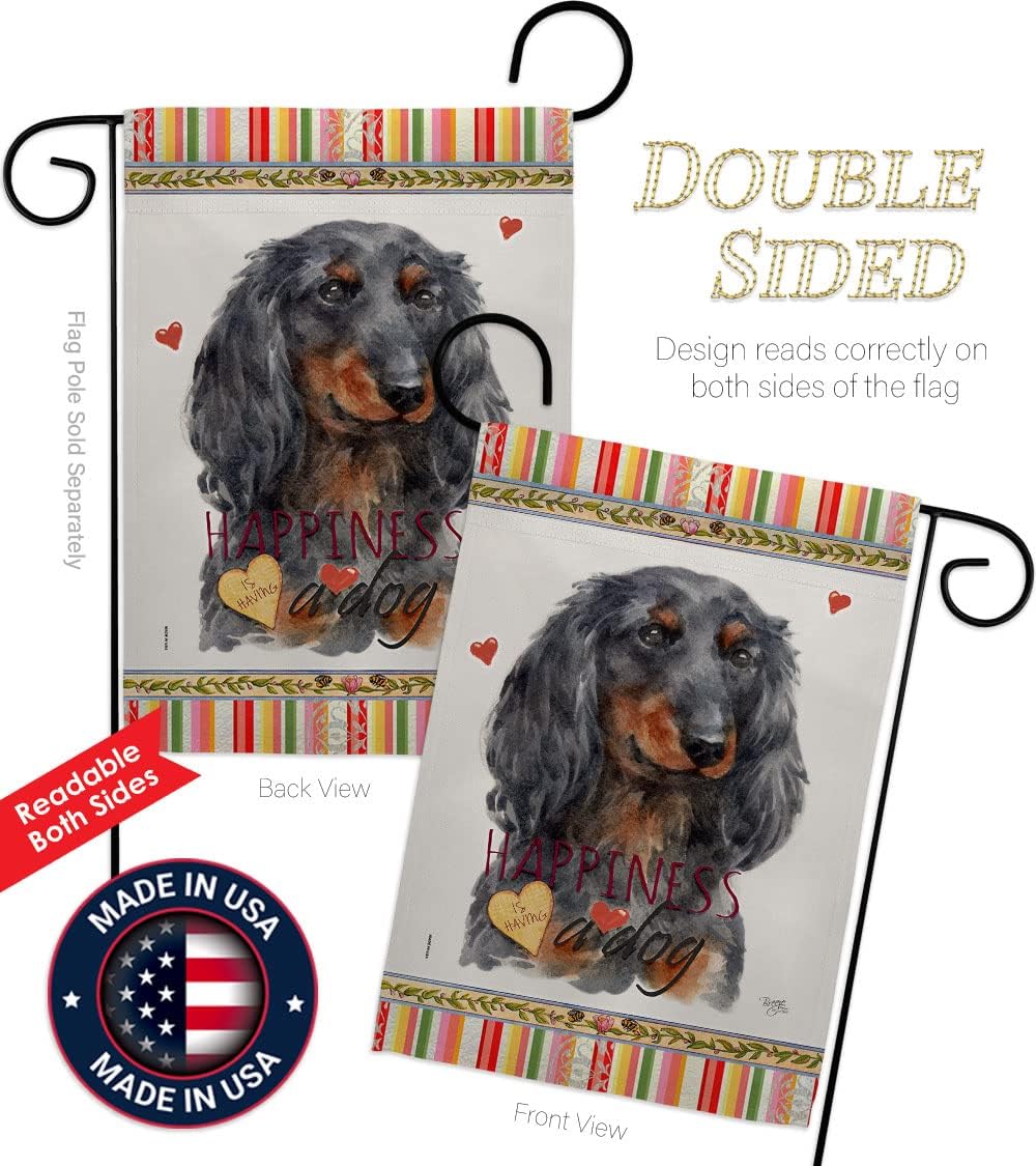 Breeze Decor Blue Long Hair Dachshund Happiness Garden Flag-Set with Stand Dog Puppy Spoiled Paw Canine Fur Pet Nature Farm Animal Creature House Banner Small Yard Gift Double-Sided, Made in USA