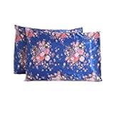 Microfiber Pillow Cases Queen Size Set of 2 - Cooling Easy Care Satin Pillowcases 2 Pack - Envelope Closure Soft & Breathable 20