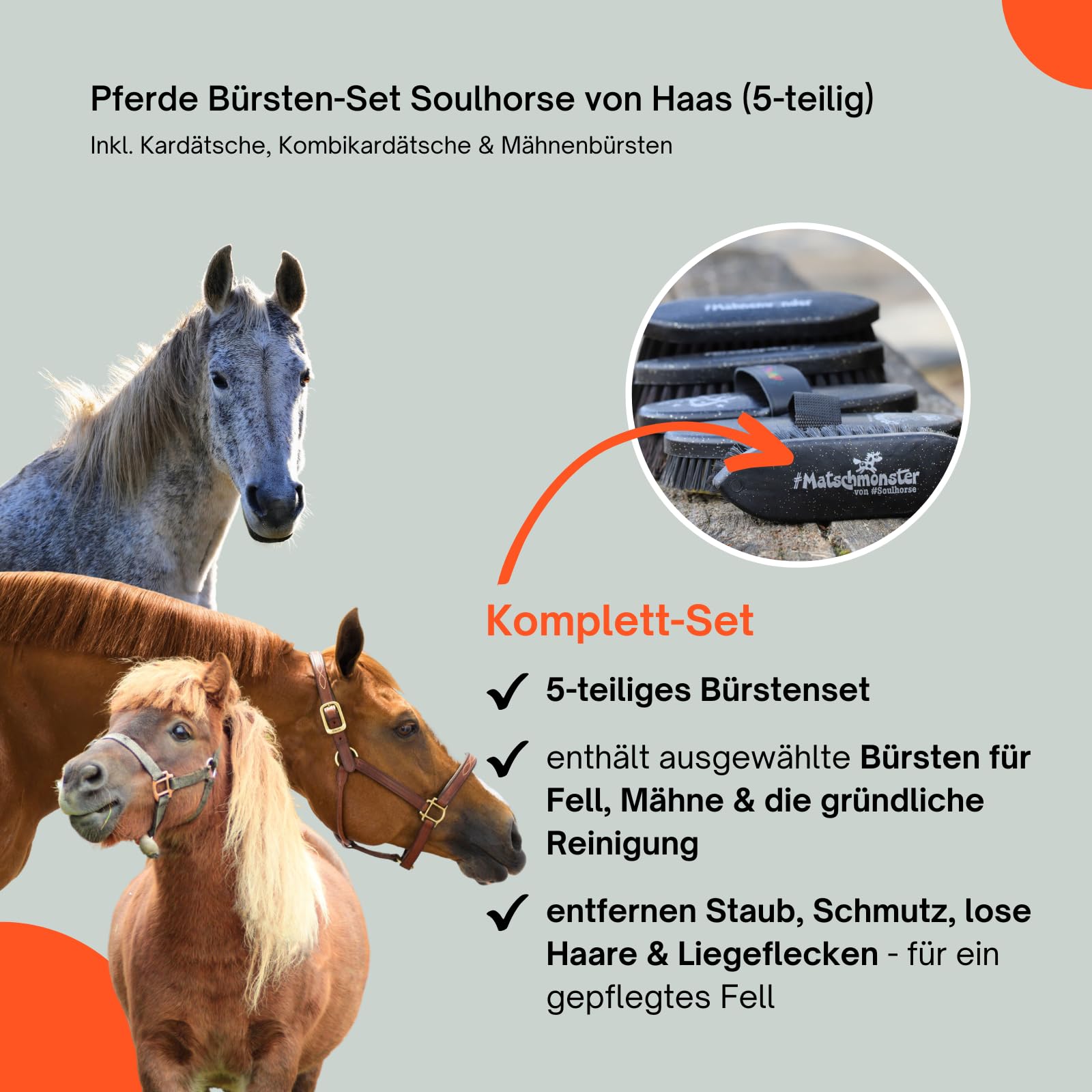 RL24 - Pferde Bürsten-Set Soulhorse von Haas (5-teilig) – schwarz | inkl. Kardätsche, Kombikardätsche & Mähnenbürsten – entfernt Staub, groben Schmutz & Haare – Pferdezubehör