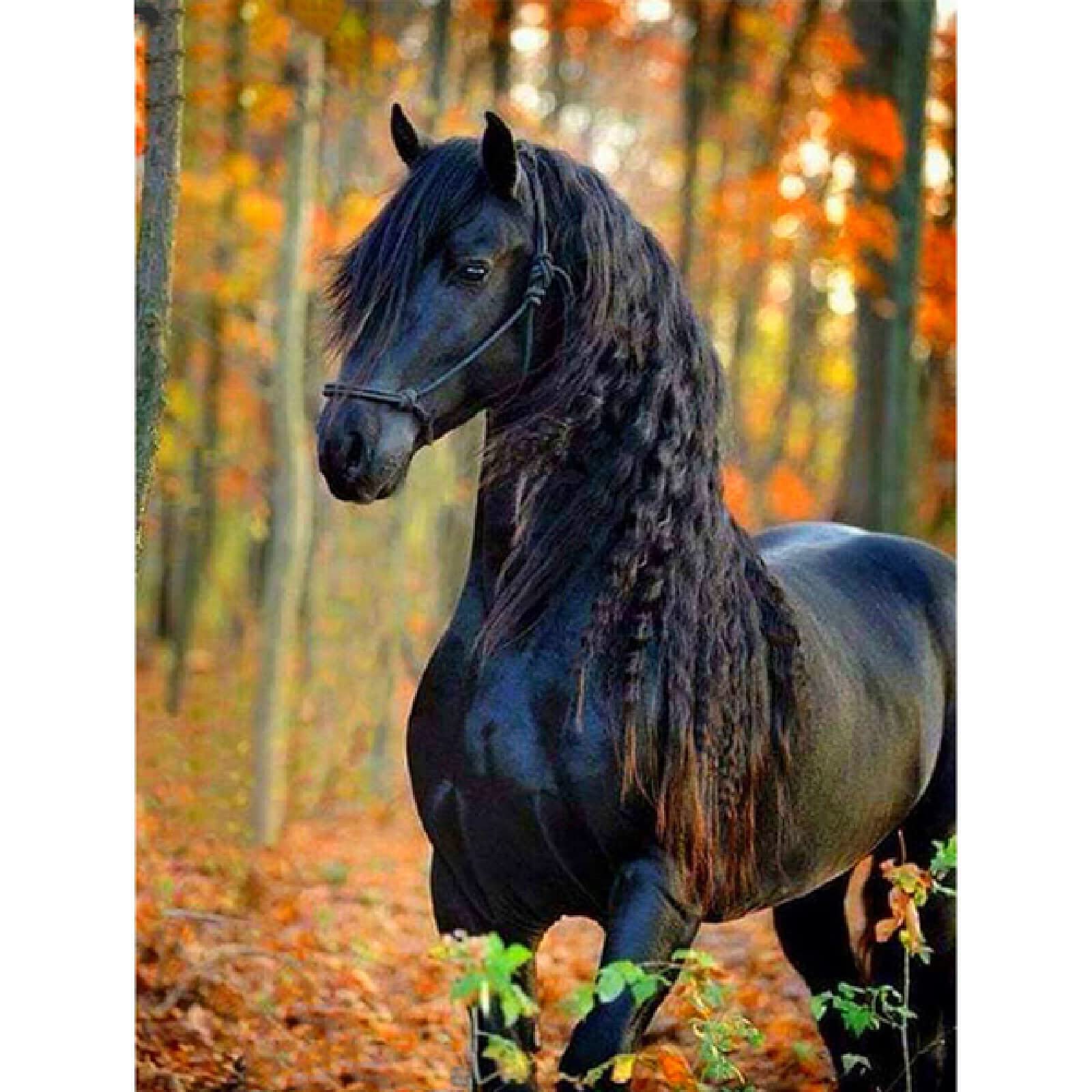 ZHXXFD 5D Diamond Painting Kits for Adults Kids Animal Horse 40X60 Full Drill Round Large Diamond Art Embroidery Cross Stitch Kits,A32
