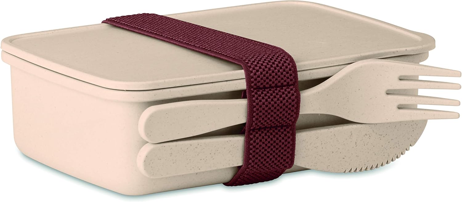 cestino per il pranzo a microonde per i bambini