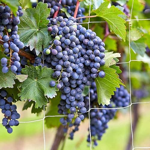 Miniatura 5 de Red de enrejado CANAGROW para plantas de jardín de alta resistencia para escalar,