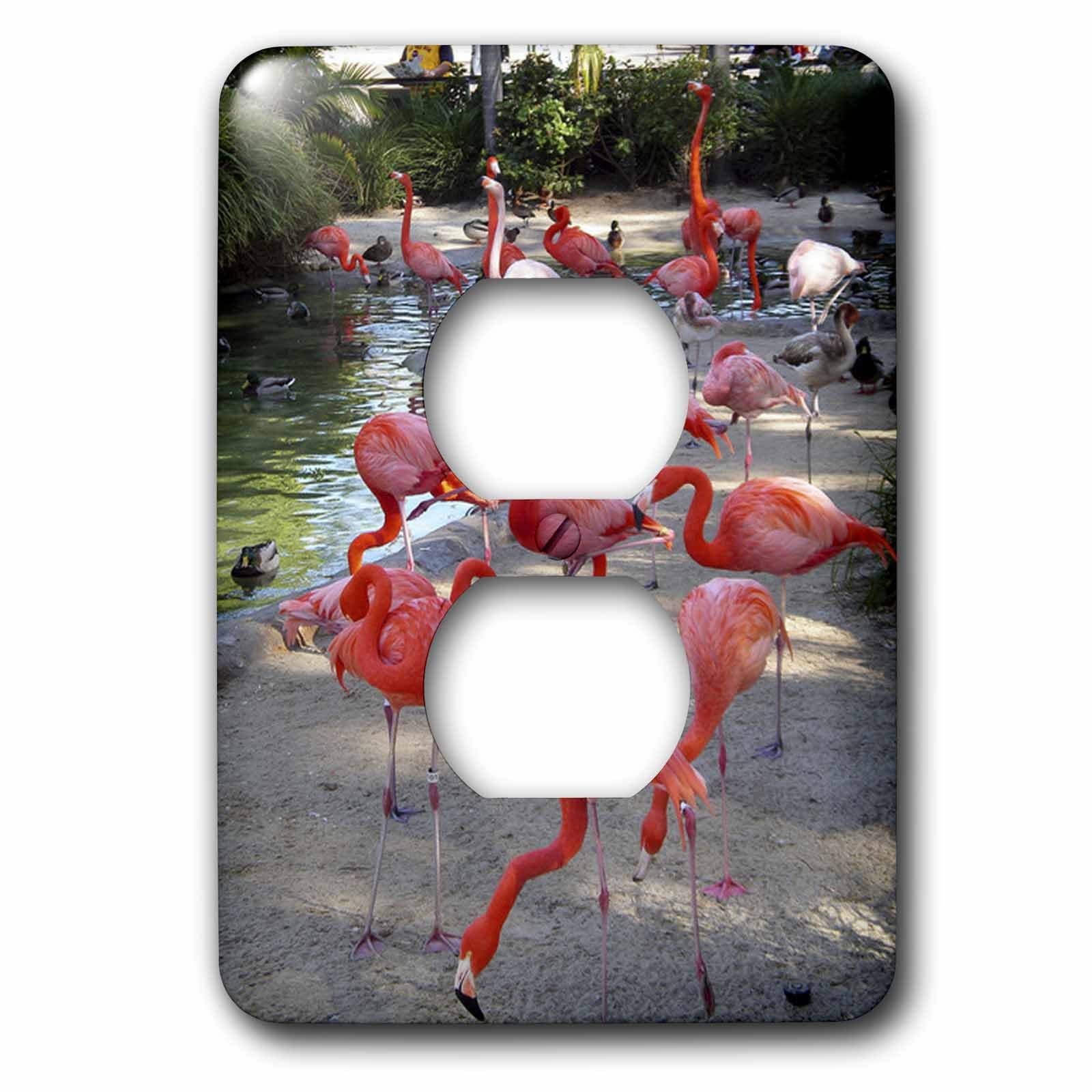 Flamants Rose Couvercle de prise pour une ambiance de chambre exotique