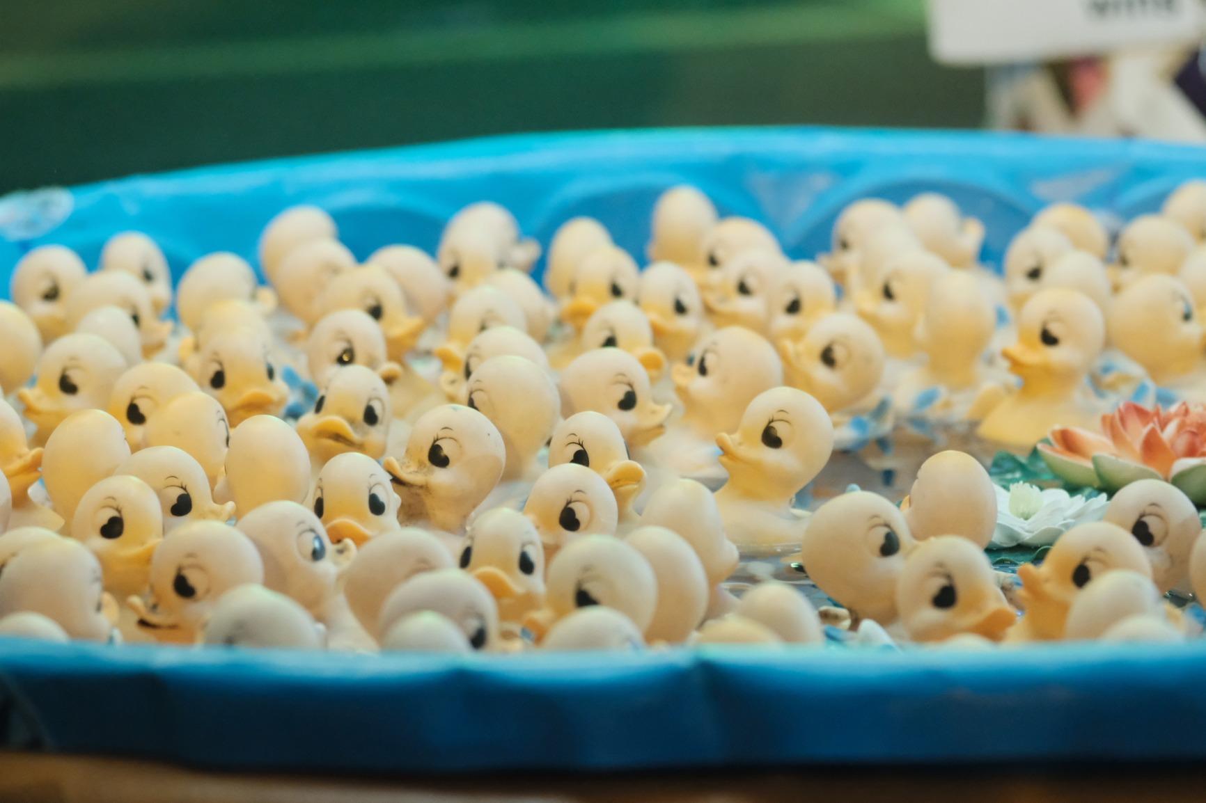 Få dette, hvis du vil bruge kvalitets Nikon-fatningsobjektiver.