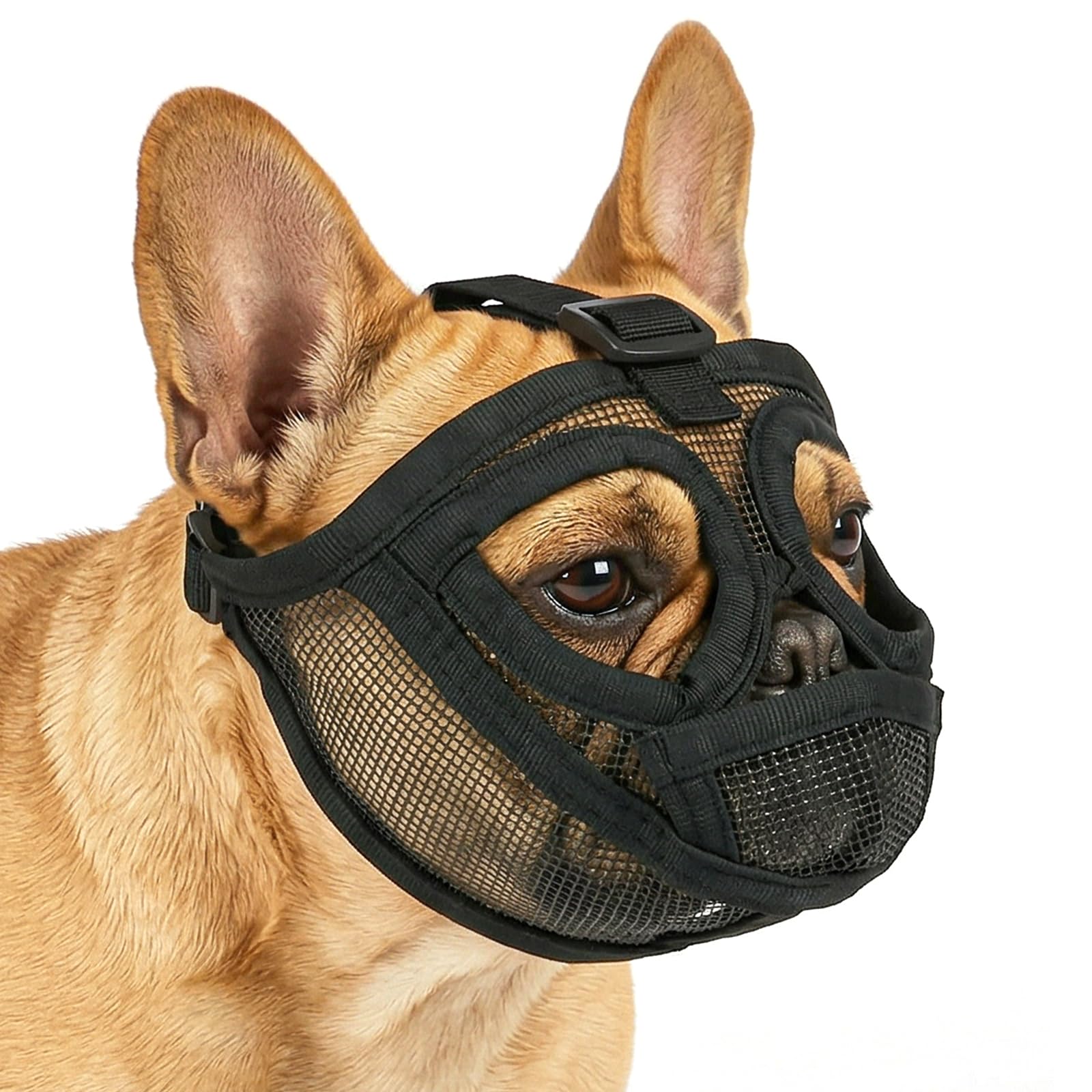 AUAUY Museruola per Cane, Museruola Resistente per Cani, Mascherina in Rete Traspirante, Prevenire i Morsi alla Corteccia, Museruolas per Shih Tzu e Bulldog inglesi, Acqua e Cibo Consentiti (Nero, S)