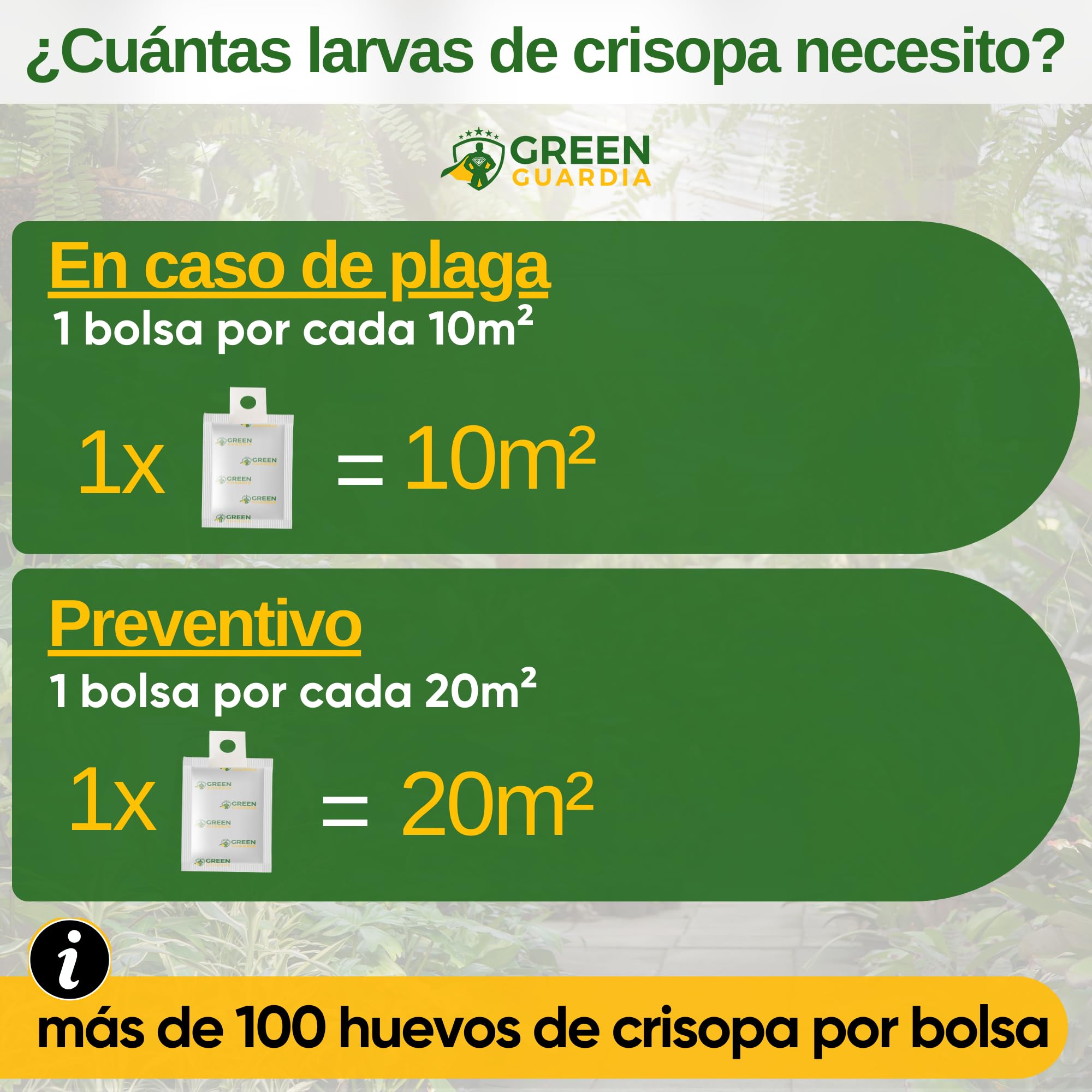 GREEN GUARDIA Huevos para larvas de crisopas contra pulgones y cochinillas – 1 bolsa – agente biológico para combatir eficazmente pulgones y cochinillas para plantas de interior y ornamentales UVM.