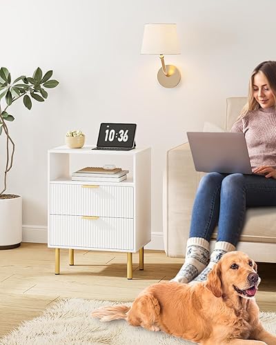 Miniatura 7 de Mesita de noche, mesita de noche de 25.7 pulgadas de alto con estante de 2 cajones, mesita de noche Morden con marco dorado, mesa auxiliar acanalada