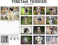 Vista 479 de Razas de Perros 2017