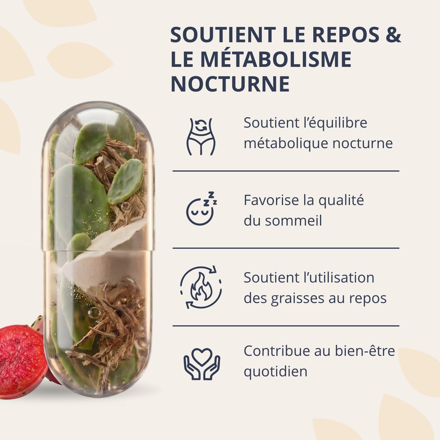 Golden Tree Nighttime Burn – Gélules de Fibres, 30 pièces | Figuier de Barbarie, Vitamine B3, Vitamine B6, Racine de Valériane & L-Carnitine, Sans Caféine