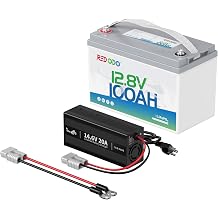 Redodo 12V 100Ah LiFePO4 Battery with 14.6V 20A Lithium Battery Charger, Built-in 100A BMS, 5 Hours Fast y Charging, 4000 Cycles Battery for RVs, Campings, Solar Home, Marine, Boat etc