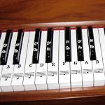 AIEX Stickers Piano Clavier Musique Note Ensemble Complet Amovible & Transparent pour le blanc & Noir 88/61/54/49 Clés