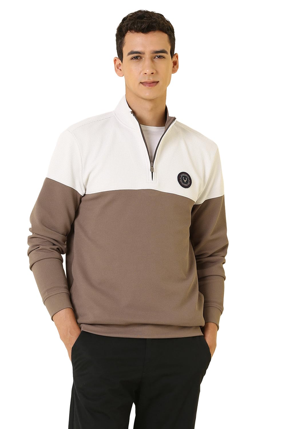 allen solly Mens High Neck Colour bloacked-picture-38