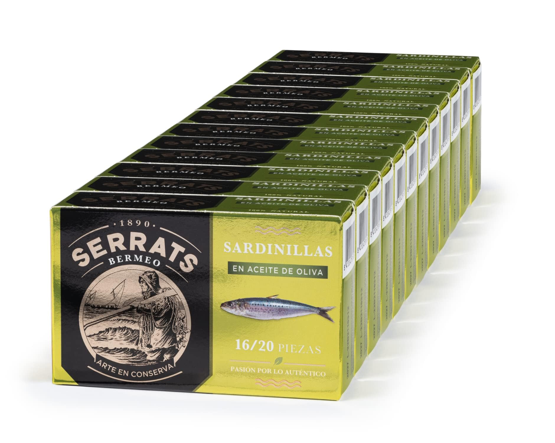 CONSERVAS SERRATS - Sardine Piccole Txikis in Olio d'Oliva Extravergine - 12 Lattine x 115g (Totale: 1380g) - Lavorazione Artigianale dal 1890 - Senza Glutine - Ricco di Omega 3
