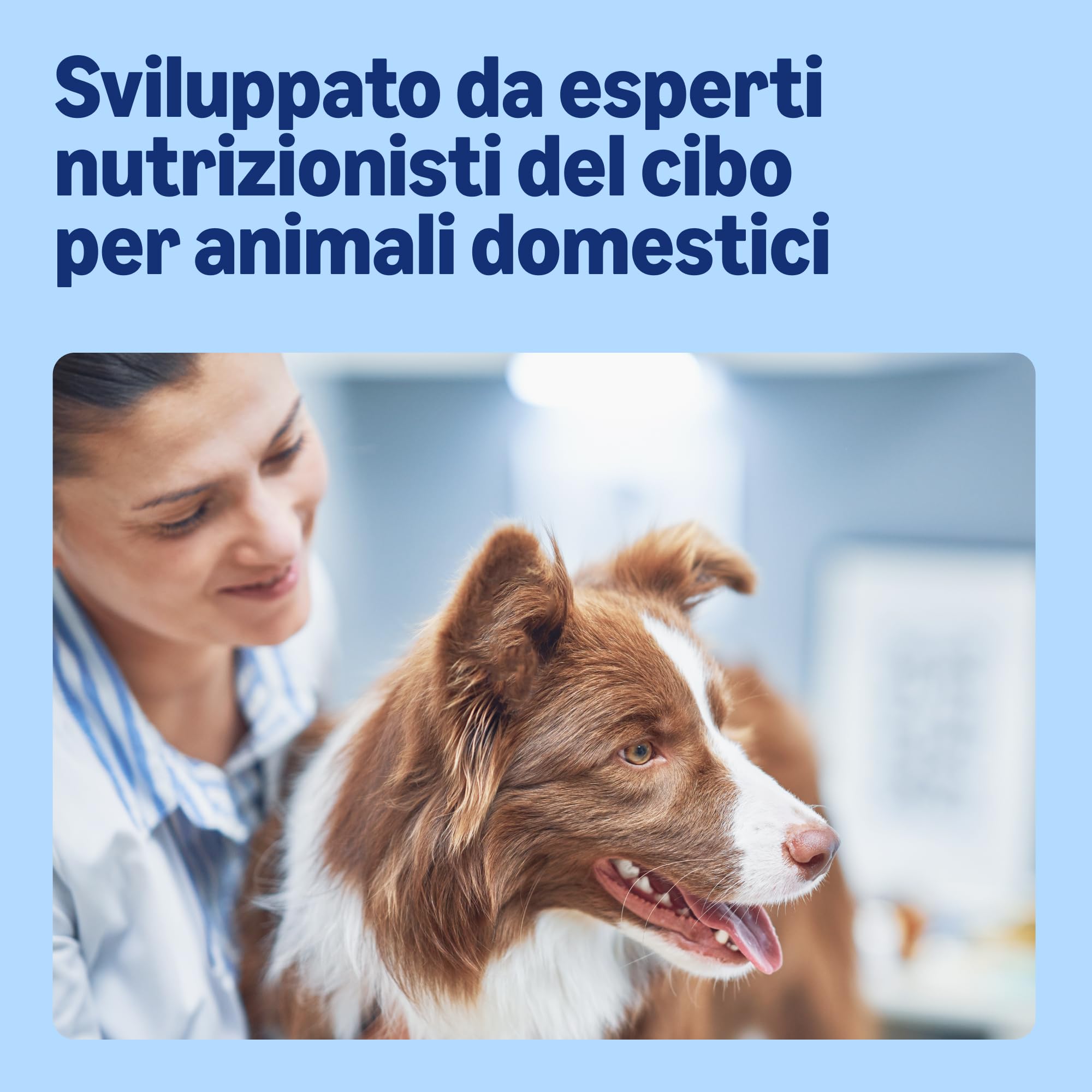by Amazon Alimento completo per cani adulti, Selezione di carne in salsa, 4.8 kg, 48 confezioni da 100g