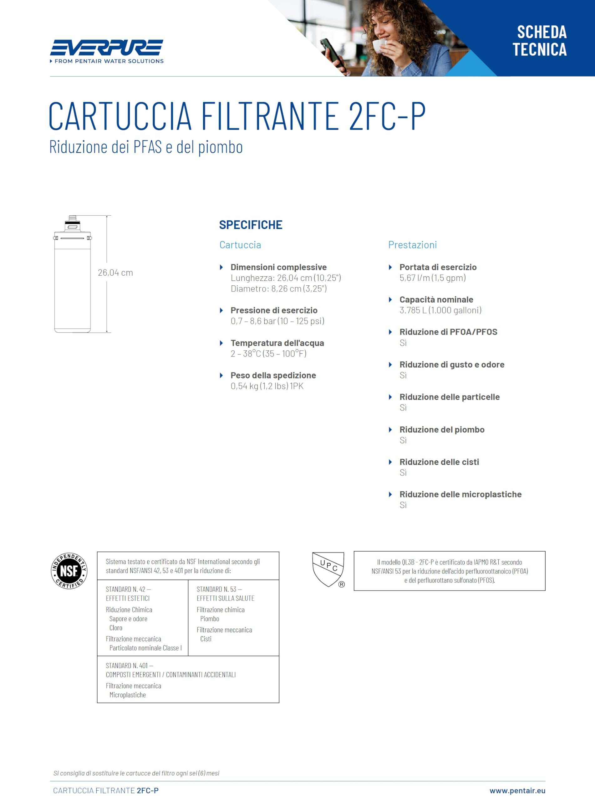 Everpure 2FC-P EV9595-11 Rimuove PFAS, Cloro e Microplastiche