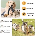 Jouets à laque pour chiens 5 Pack Jouets pour chiens Jouets de chien sans farce Jouet pour chiens en peluche Jouets à croquer Jouet de chien pour chiens de taille moyenne