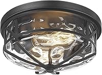 Vista 10 de Luminarias de techo de montaje empotrado de Darkaway con pantalla sembrada, lámpara de techo para interior y exterior para pasillo, entrada