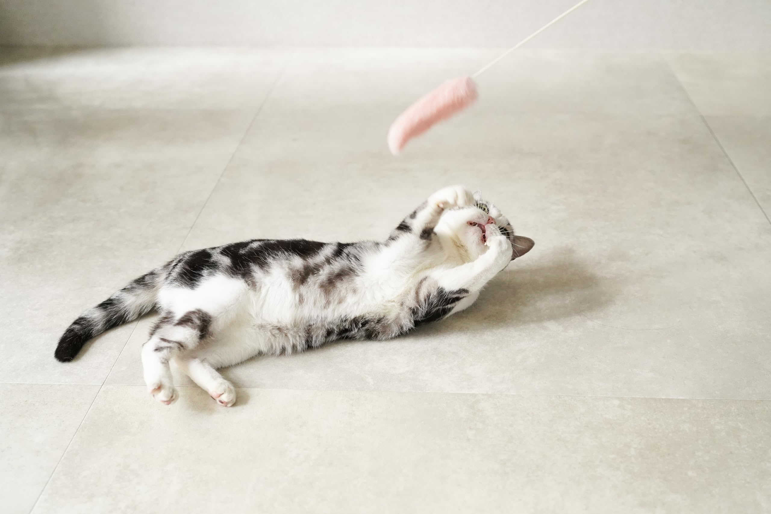 Amazon | Mofuじゃらし 2本入り (フルーツパフェ) もっふもふな