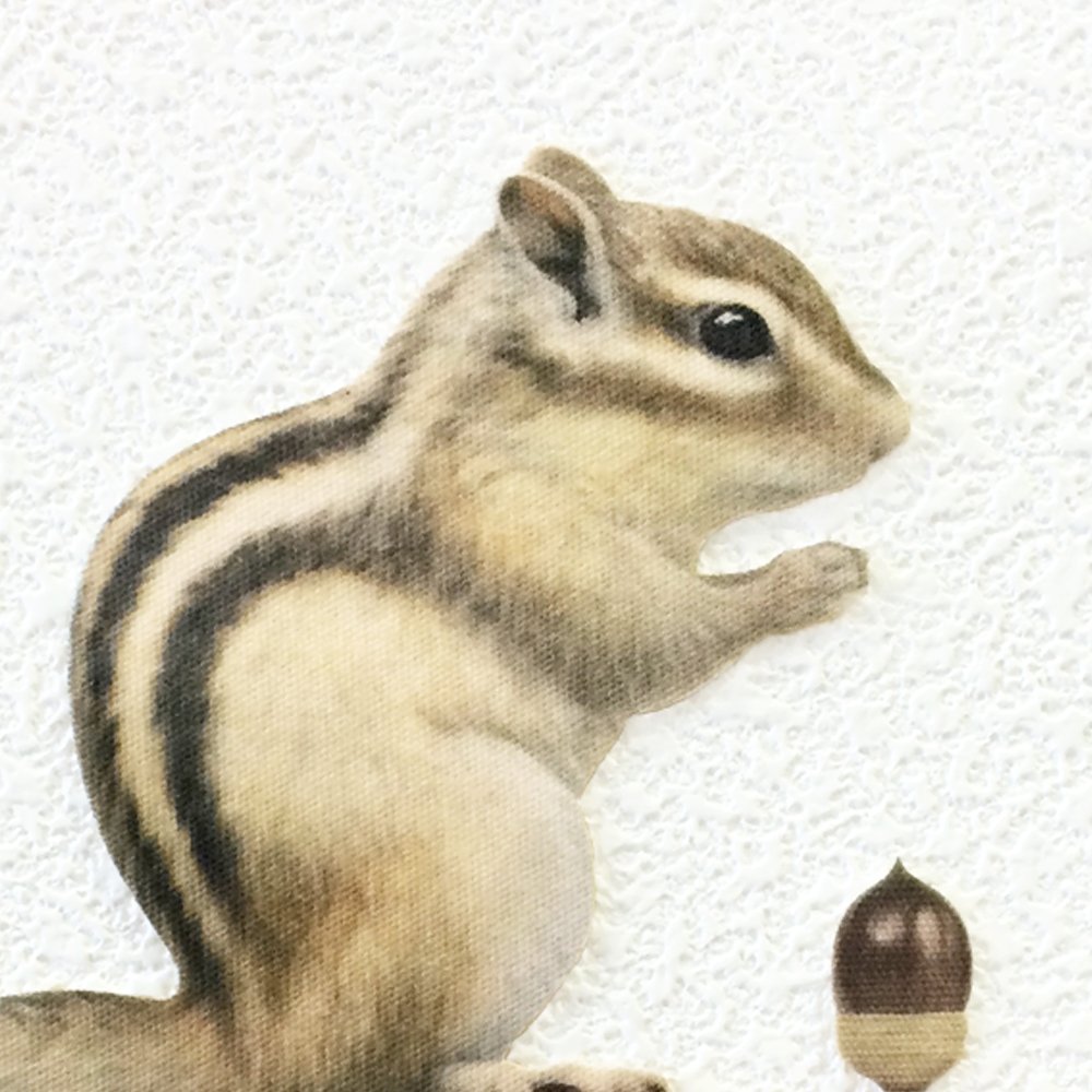 Amazon.co.jp: ウォールステッカー ANIMAL LIFE Color 「シマリス