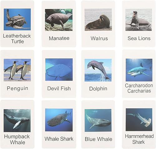 Miniatura 4 de Figuras pequeñas de animales Montessori con tarjetas flash, figuras de animales realistas, materiales Montessori, educación en casa, preescolar,