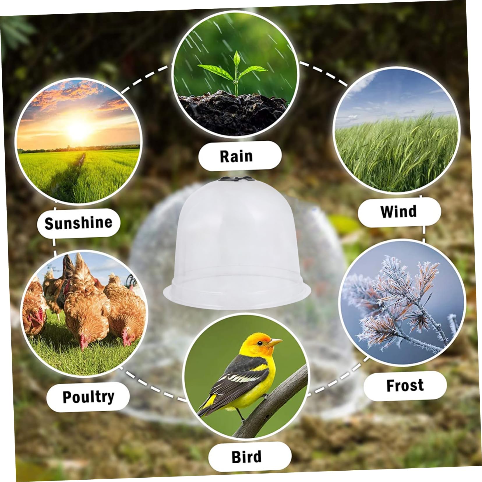 6pièces Cloche De Protection pour Plantes Cloches Plastique Étiquettes Et Piquets De Fixation pour La Chaleur Et Humidité des Semis