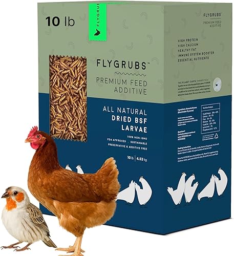 FLYGRUBS Larvas secas de mosca soldado negro de 10 libras, alimentador de pollo con alto contenido de calcio, 85 veces más calcio, gusanos