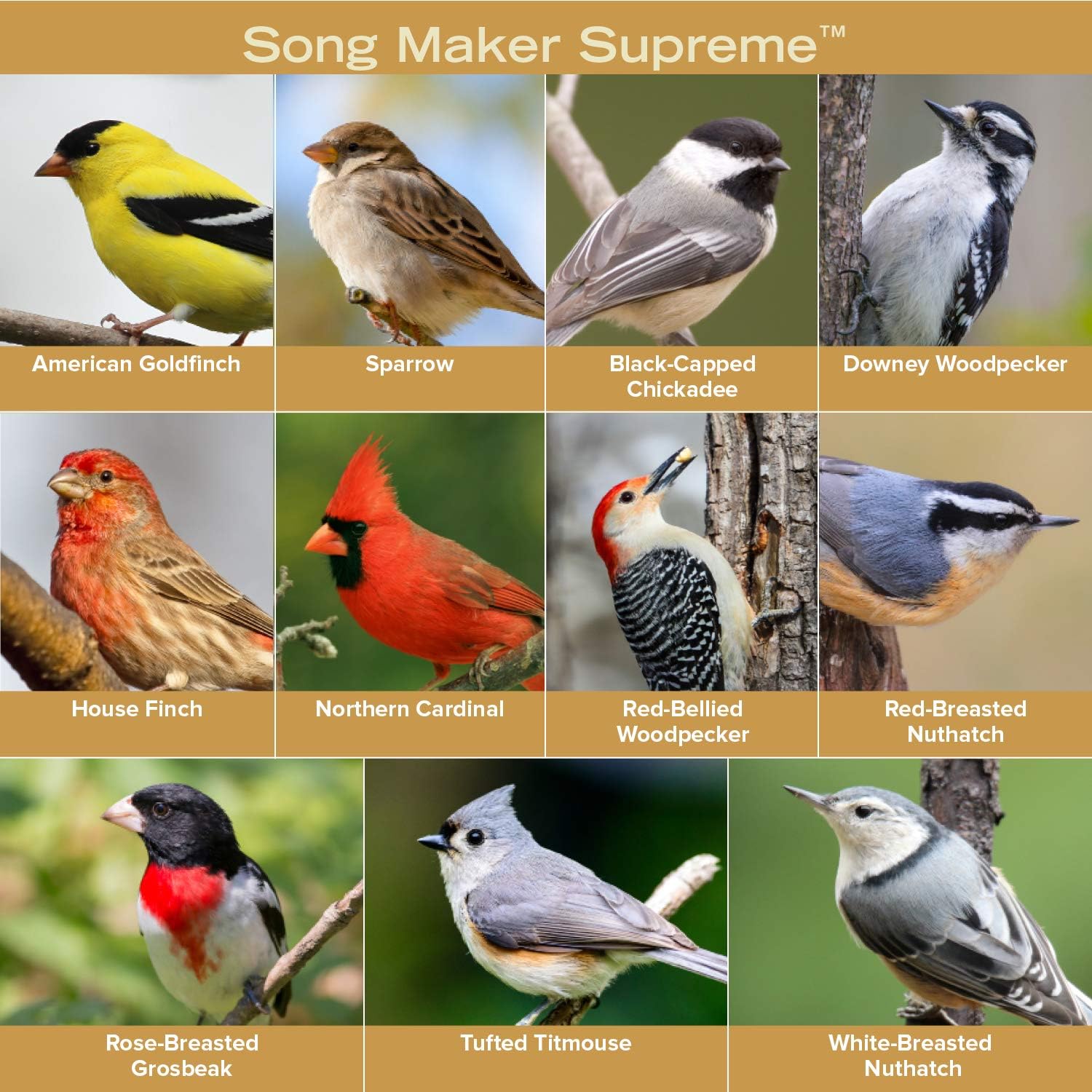 Blue Seal Song Maker Supreme Wild Bird Seed | High Energy Mix, No Fillers | Attracts Wide Variety of Wild Outside Birds | Convenient Shell-Free Mix | Made in USA | 20 Pound Bag