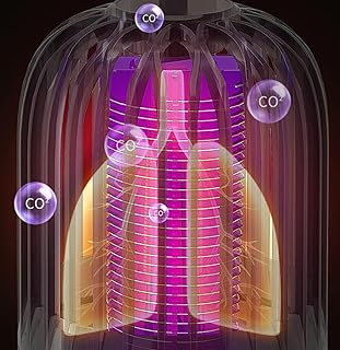 Cuttakeet Sustainable Electronic Mosquito Control Trap, Theoretical Screen Trap, Mosquito Equalizer Lamp for Home Use