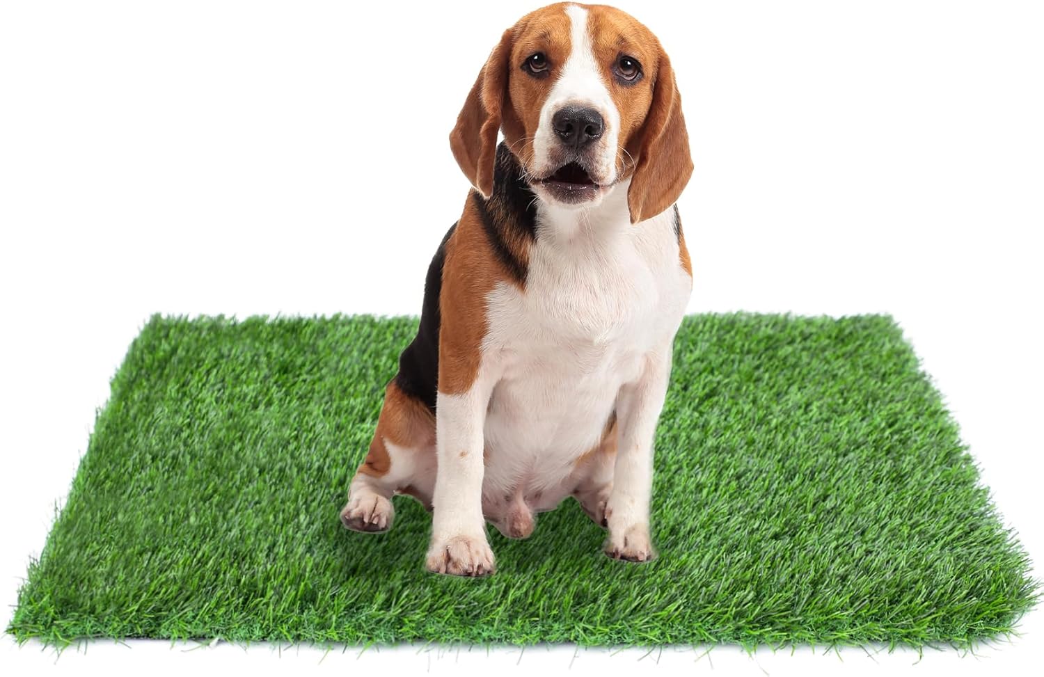 GLOBREEN Dogs Artificial Grass Pee Pad, 39.4" x 31.5" Puppy