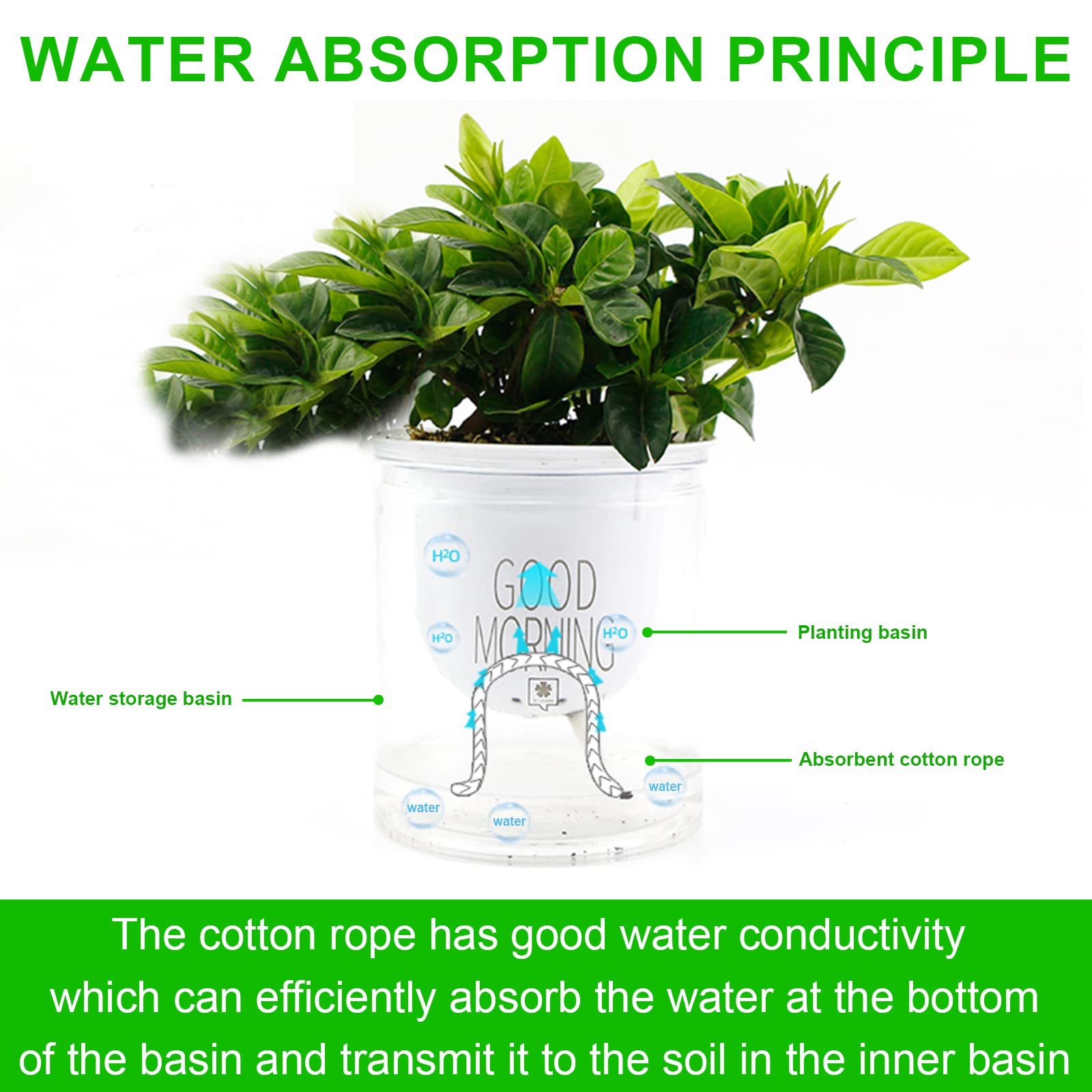 Corde Mèche Irrigation 30m Ksvaye - Système Arrosage Automatique Plantes Intérieur/Extérieur
