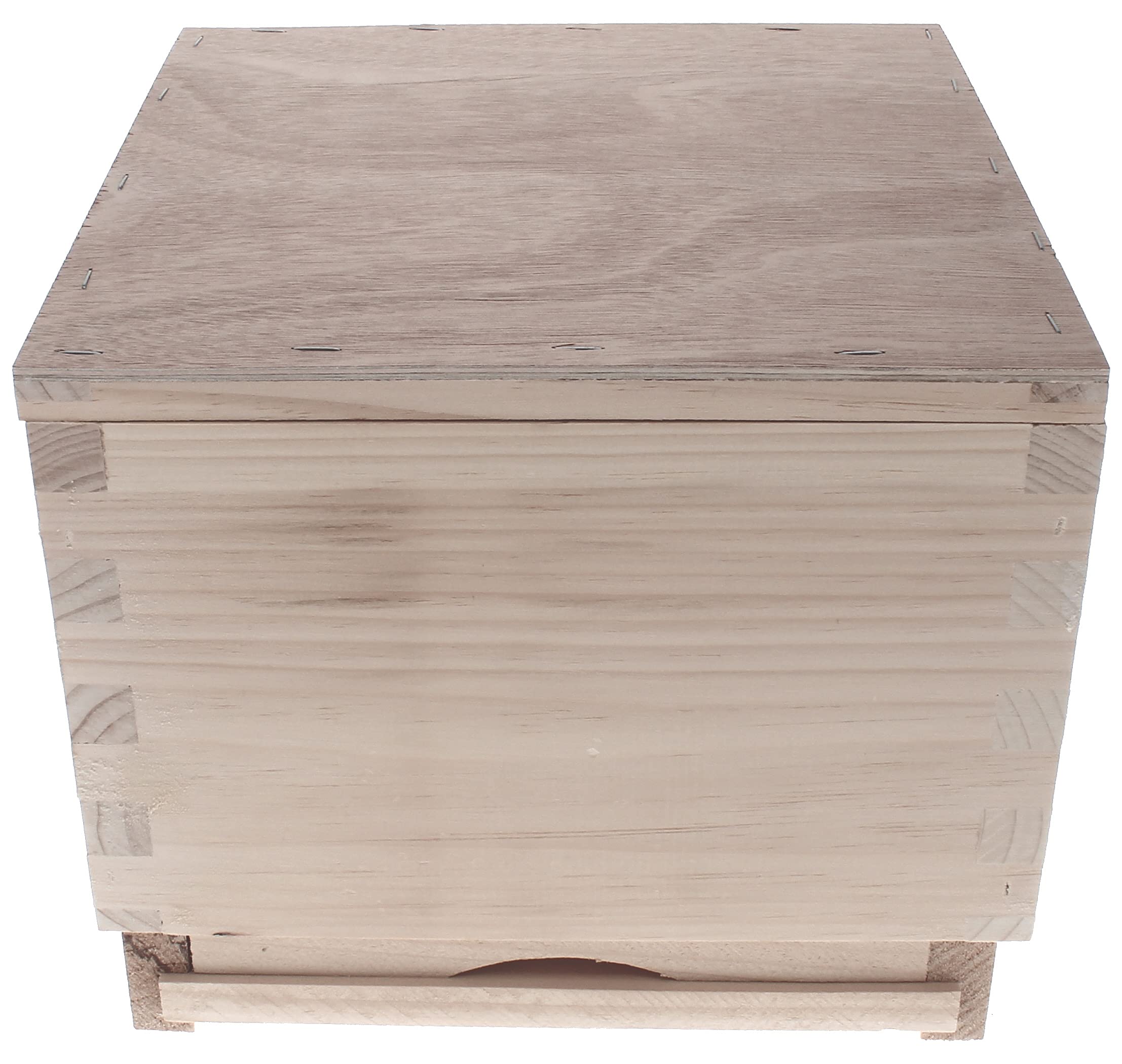 Mini Plus Beute aus Holz mit Rahmen und Futtertasche