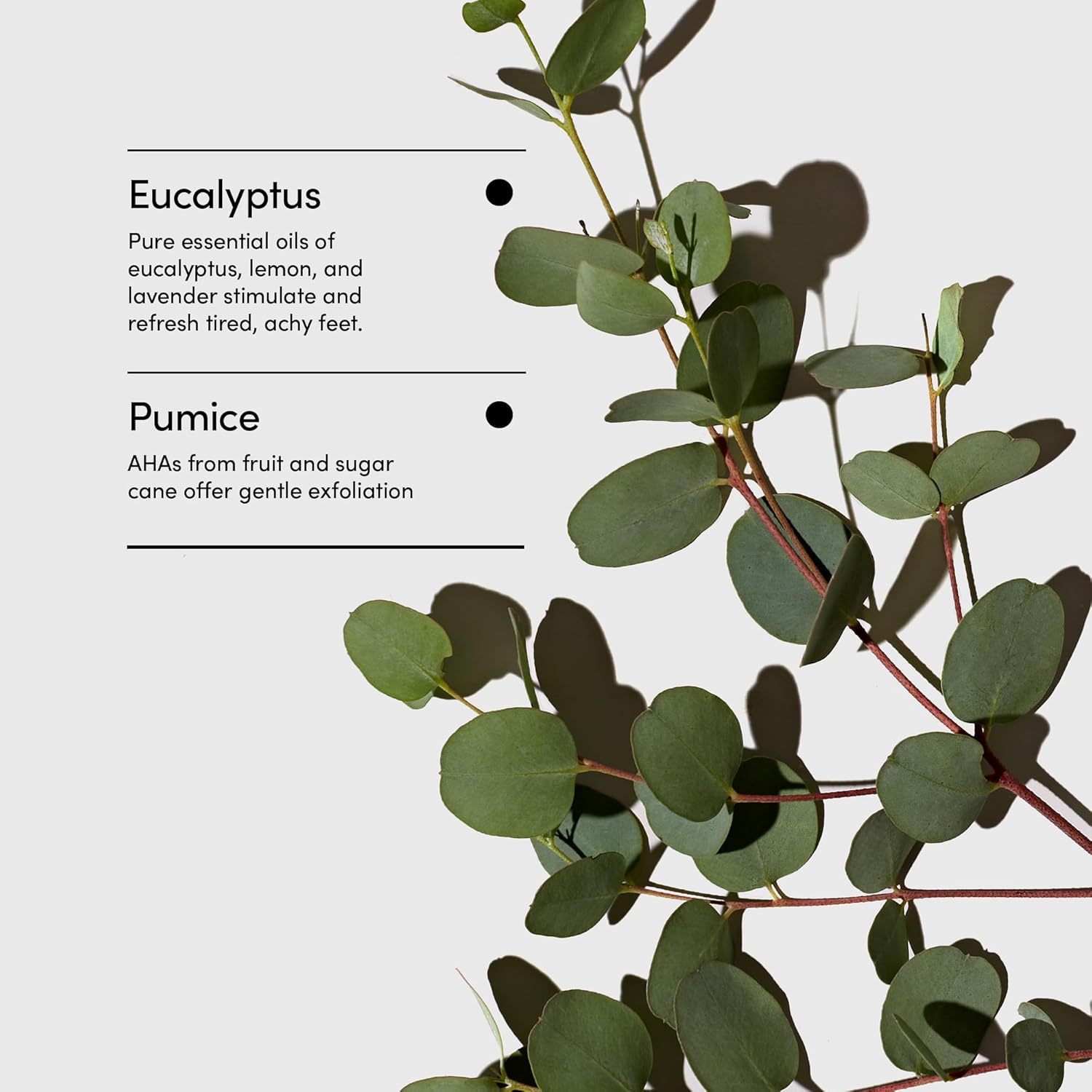 LATHER - Natrual Sea Wool Sponge 5"-6" + Foot Scrub with Pumice Stone 4oz