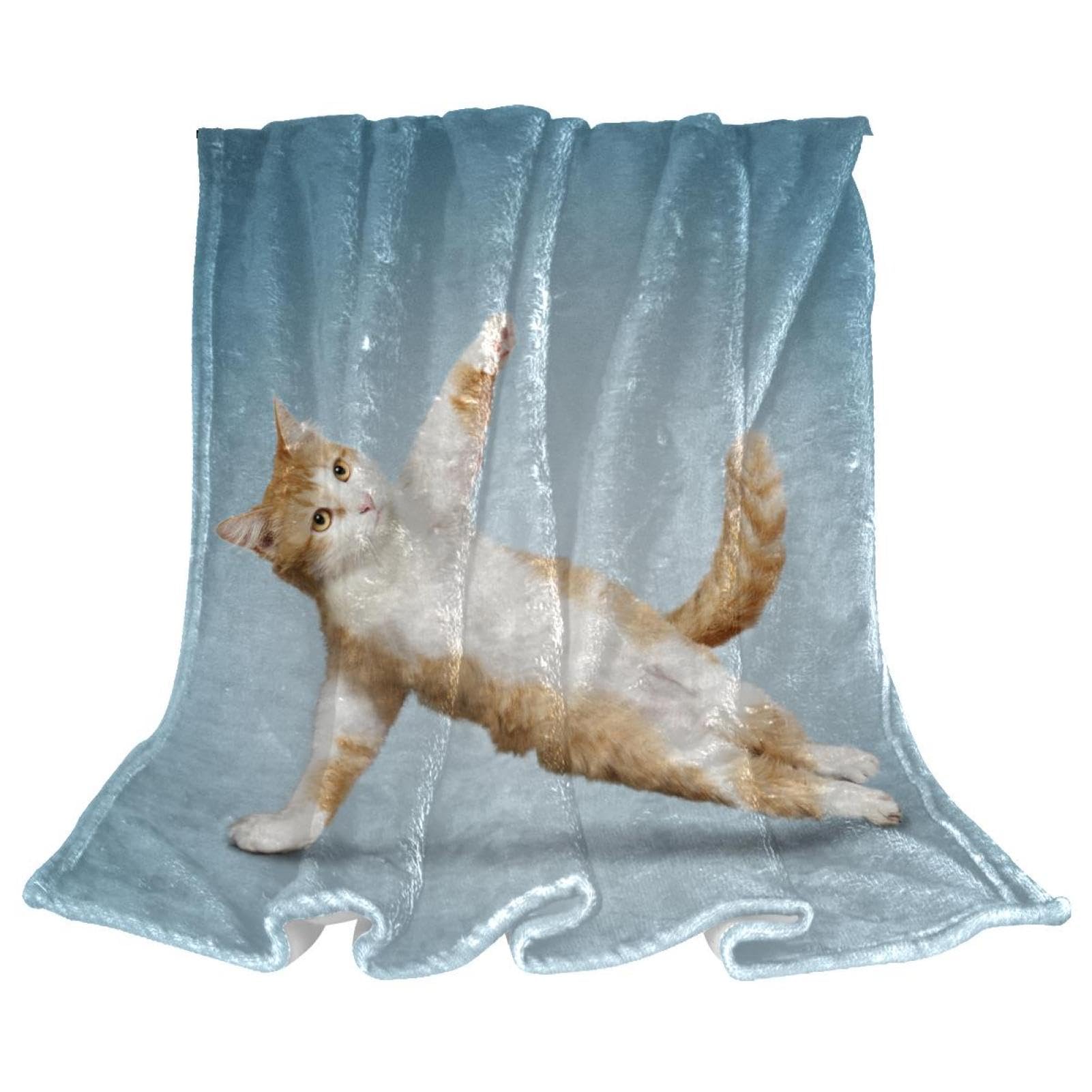 Couverture polaire chat jeté de canapé microfibre chaude 150x200cm