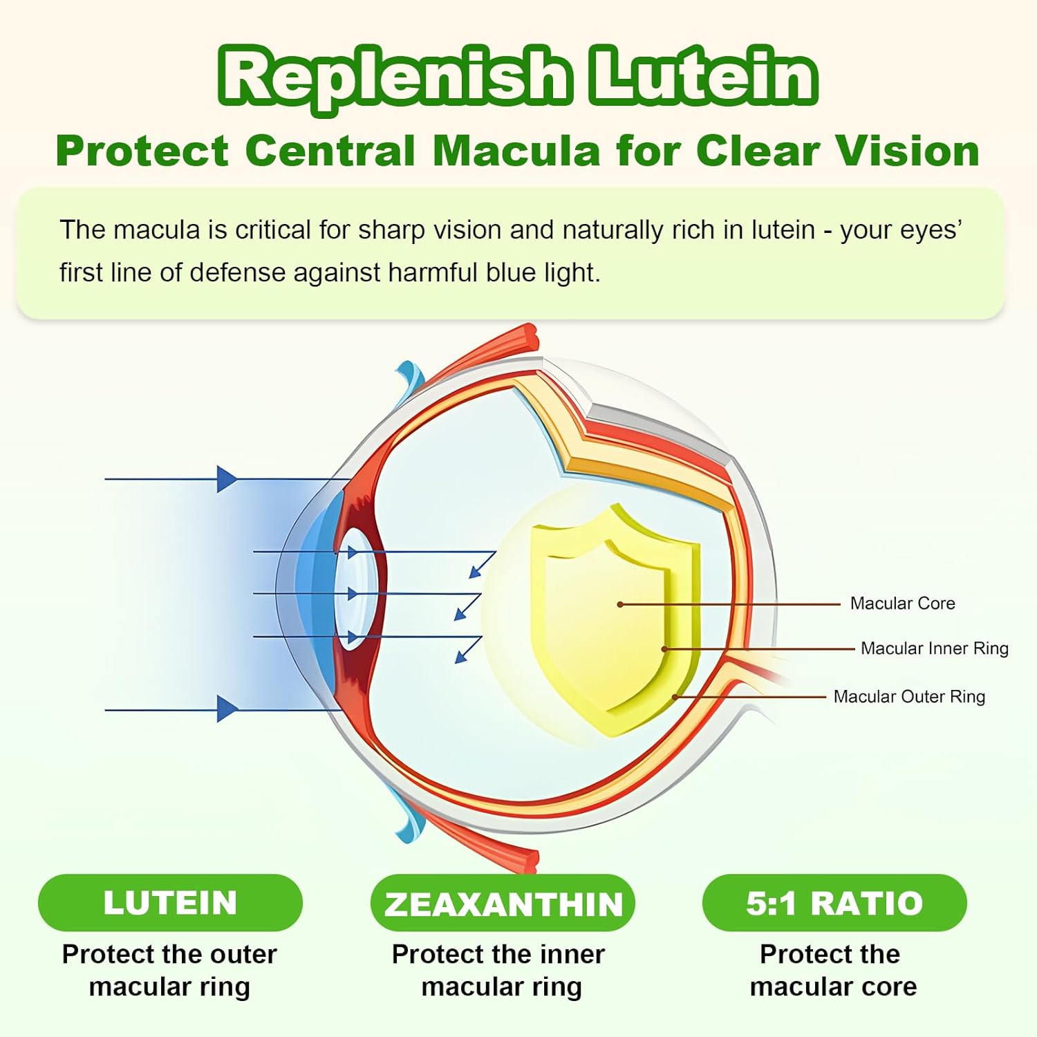 Sugar Free Lutein Gummies 25mg, Lutein and Zeaxanthin Supplements for Eye Health, 13-in-1 Eye Care Formula with Omega-3 Bilberry Saffron-Vision Health, Eye Strain, Dry Eyes, Vegan Mango Flavor 120 Ct - Image 5