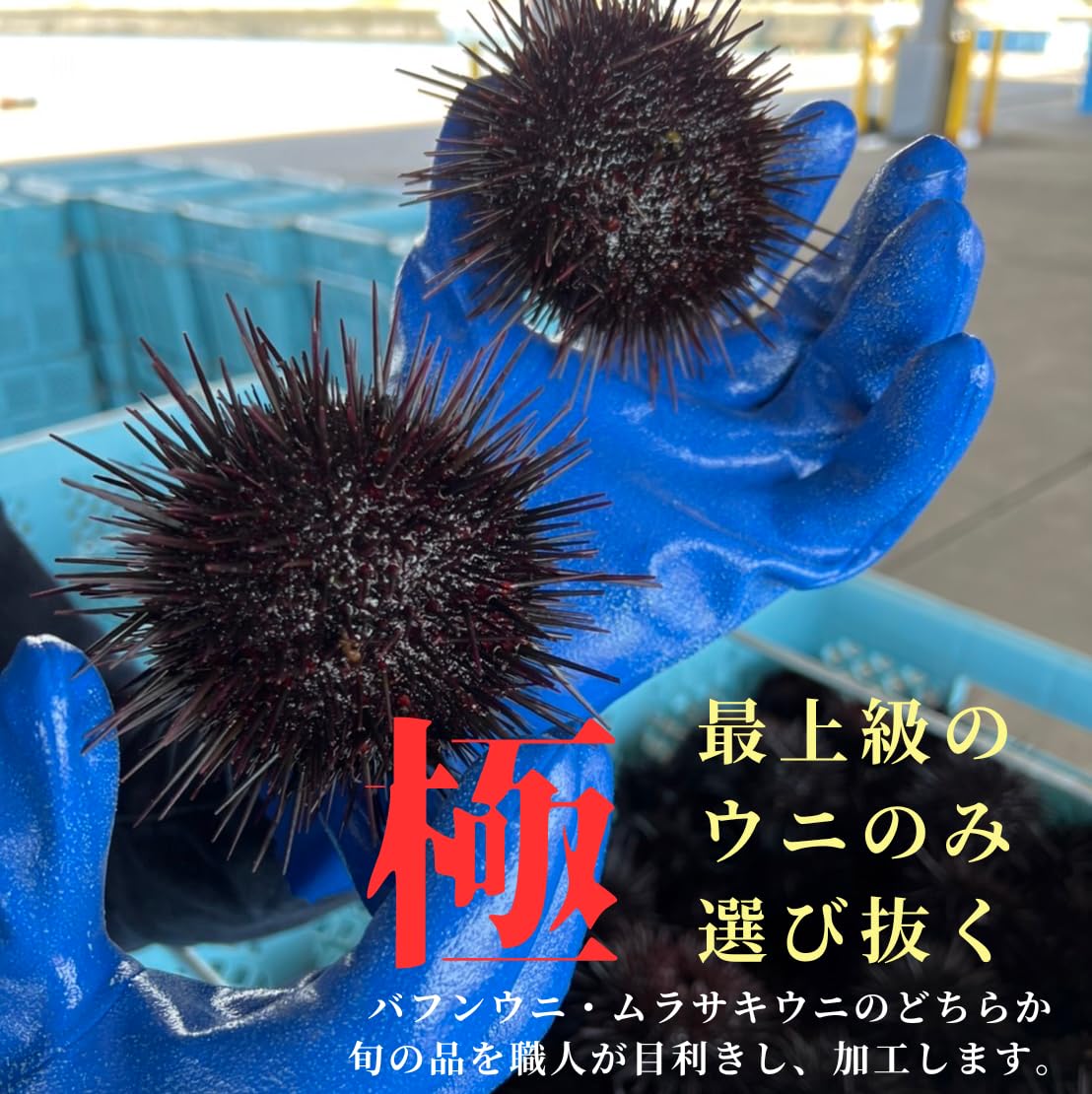 Amazon.co.jp: 無添加 塩水ウニ パック (100g) /ミョウバン不使用 雲丹