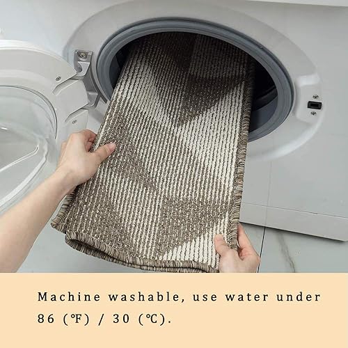 Miniatura 6 de CHICHIC Tapete para interiores, 32 x 48 pulgadas, tapetes para puerta de entrada del hogar, entrada, entrada, alfombra lavable a máquina, alfombras