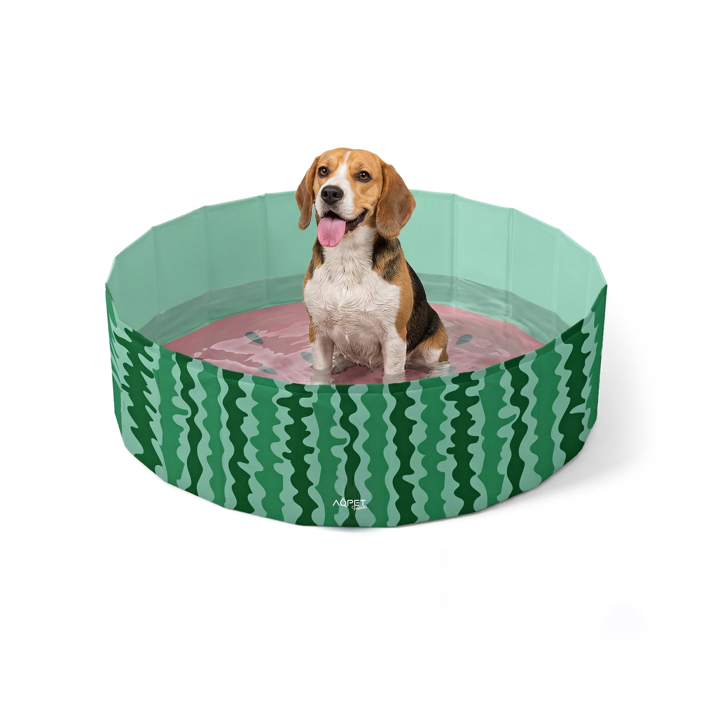 AQPET AqpetFriends - Piscina de plástico para Perros y Mascotas, Plegable, 120 x 30 cm, diseño de Frutas