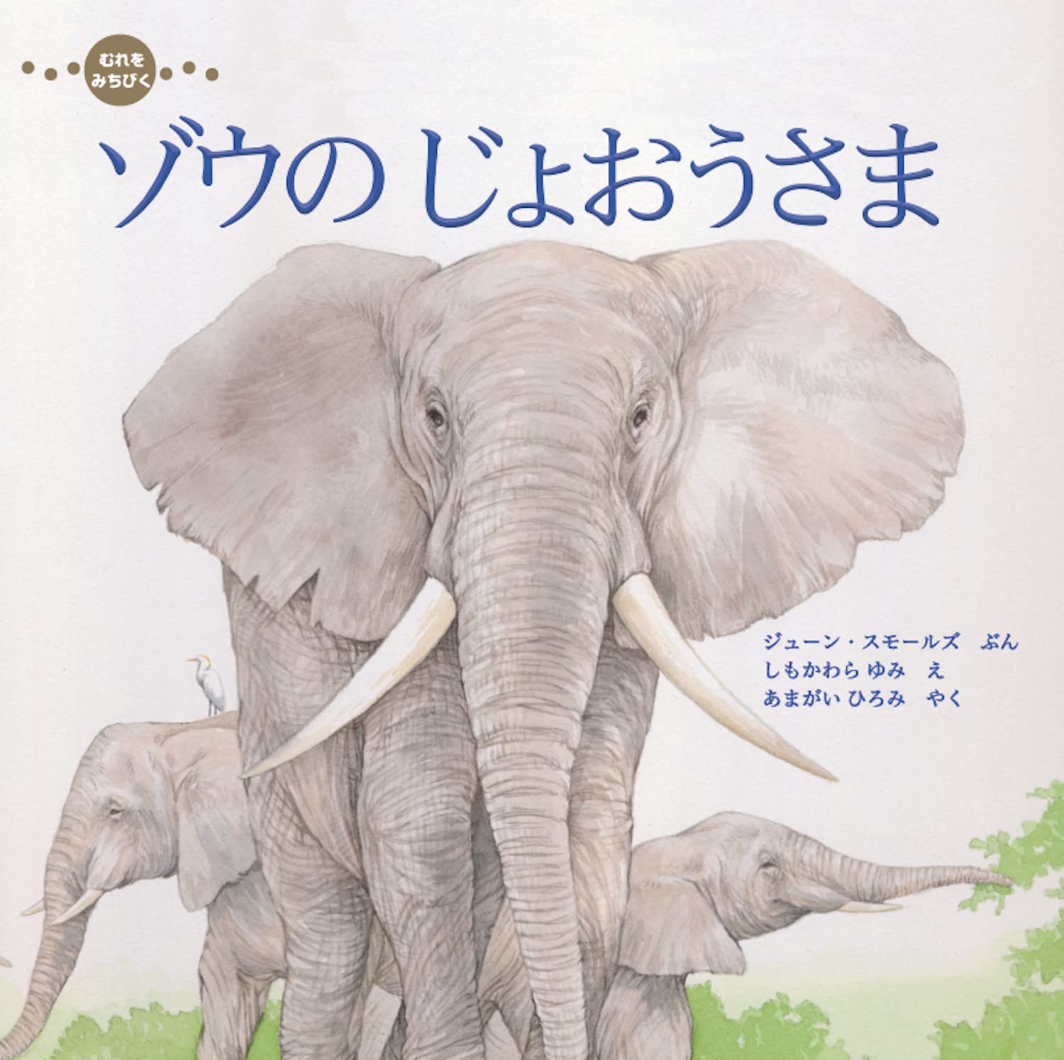 むれを みちびく ゾウの じょおうさま (imagination unlimited