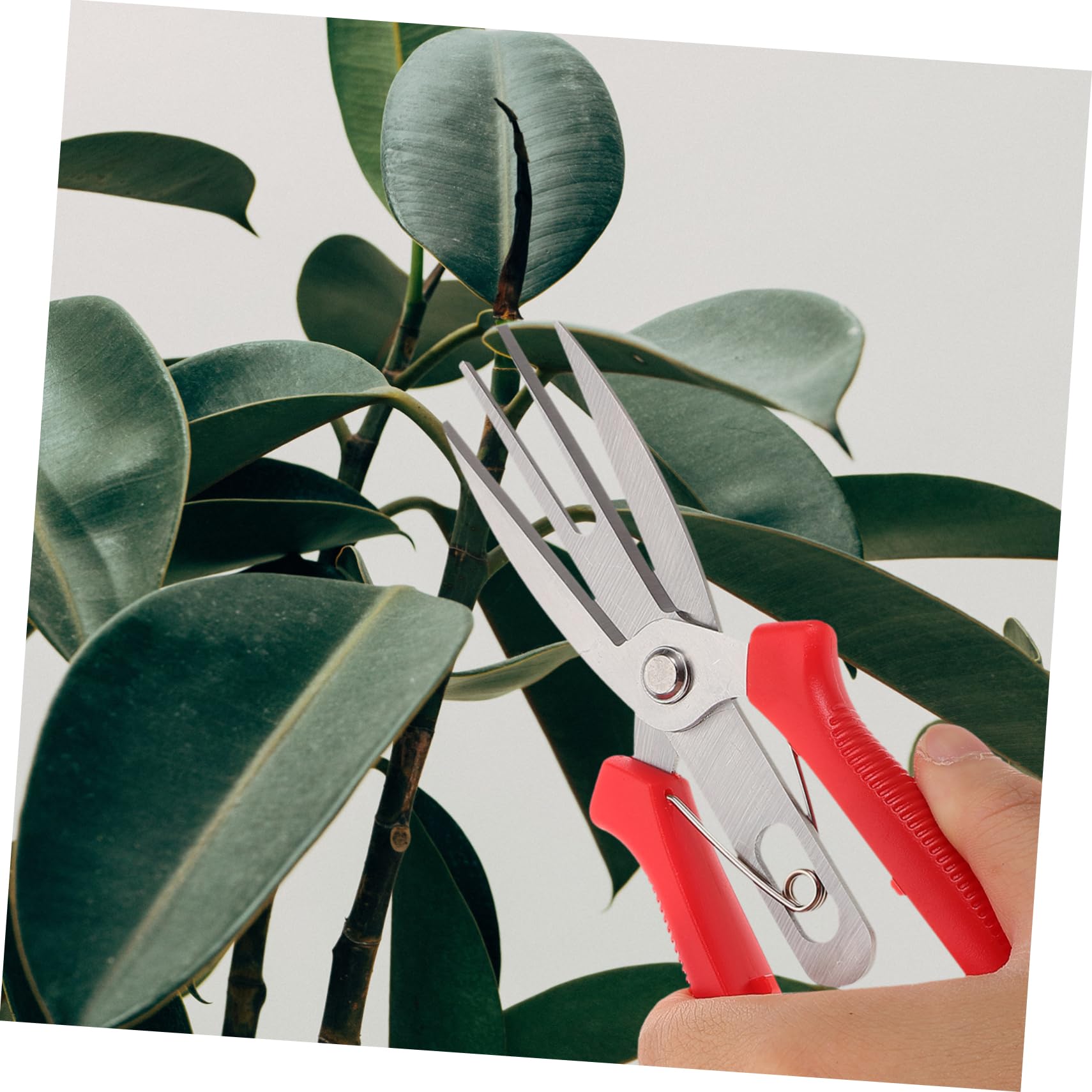 iplusmile 5 Piezas Jardín para Herramienta de Corte con Mango Antideslizante de Recorte para Plantas y Jardinería para Arreglos Árboles Frutales