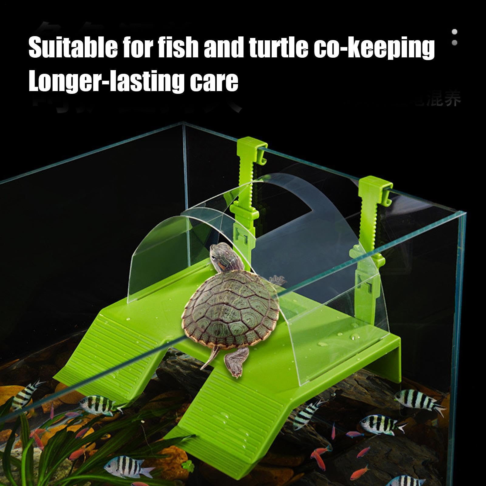 Plataforma De Asoleamiento Tortugas,Doble Escalera Reptil Descanso | Zona Asolamiento Reptiles - para Criadores, Dueños Mascotas, Amantes Animales, Terrarios, Tiendas, Hogar, Oficina y Recintos y los — view 5