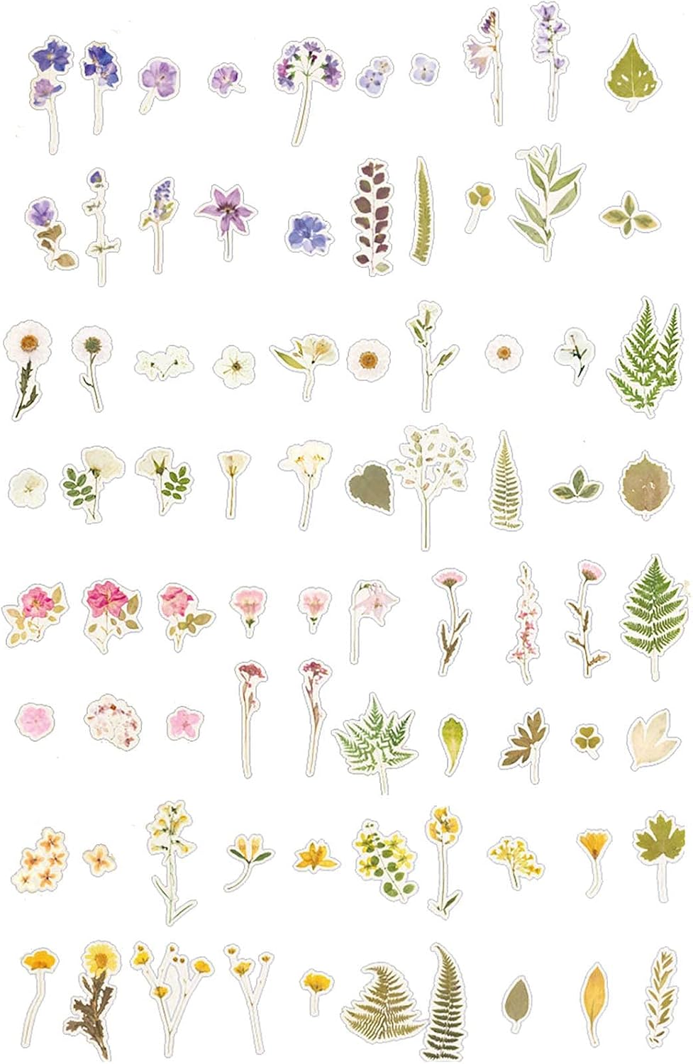 MAXLEAF 160PCS Vintage Plants Flowers Leaves Stickers for Decoration Planners Scrapbook Laptops Dairy Decoration (Wild Flower) : Arts, Crafts & Sewing
